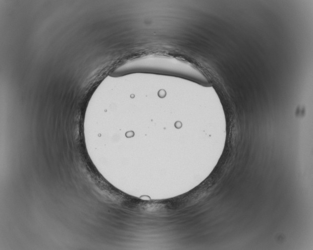 X0000111170501200908121050