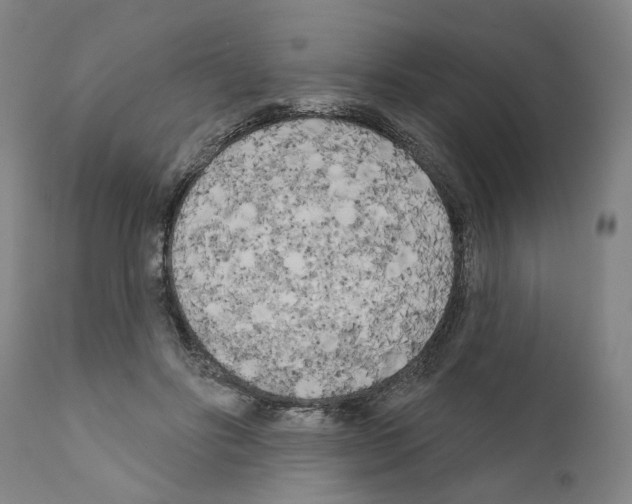 X0000111170502200908121050