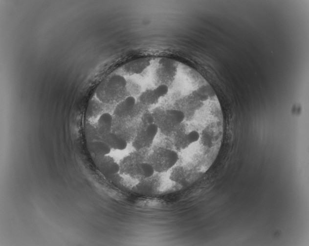 X0000111170503200908121050