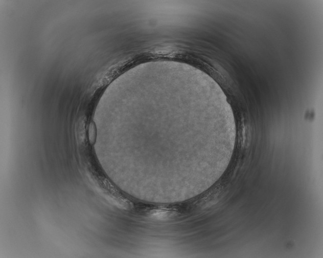 X0000111170504200908121050