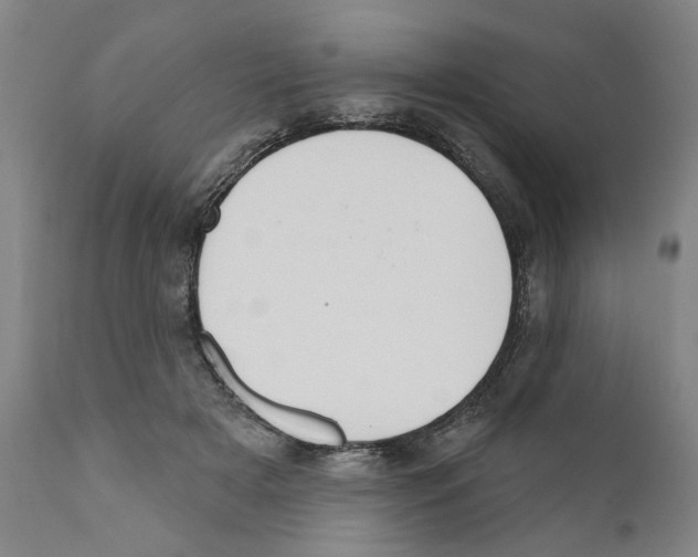 X0000111170505200908121050