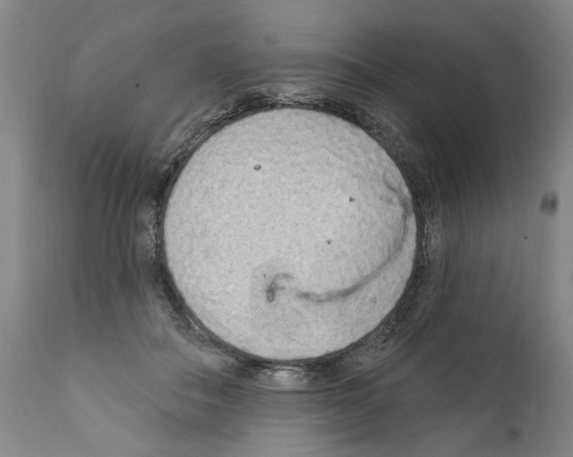 X0000111170506200908121050