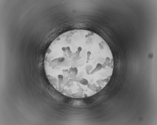 X0000111170507200908121050