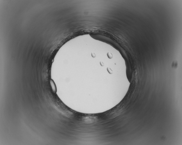 X0000111170508200908121050