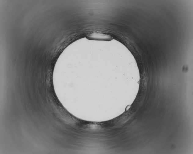 X0000111170509200908121050