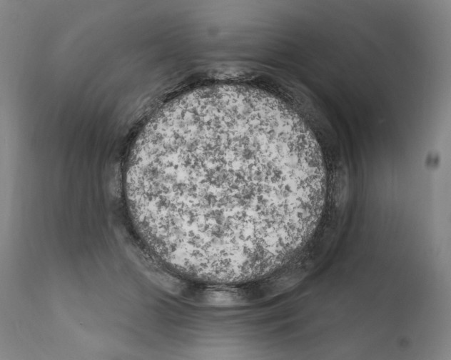 X0000111170510200908121050