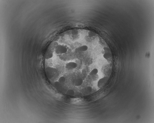 X0000111170511200908121050