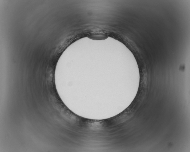 X0000111170513200908121050