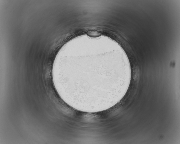 X0000111170515200908121050