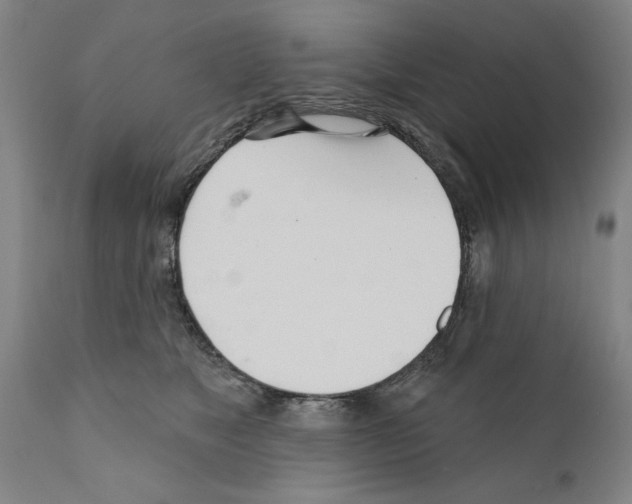 X0000111170517200908121050