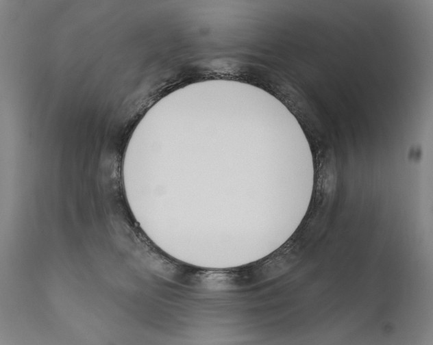 X0000111170518200908121050