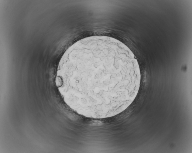 X0000111170519200908121050