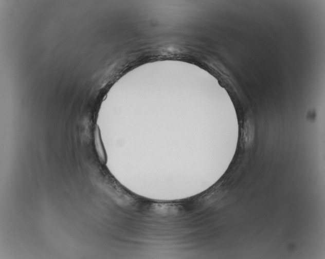 X0000111170520200908121050