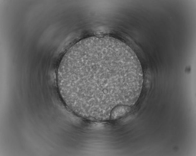 X0000111170523200908121050