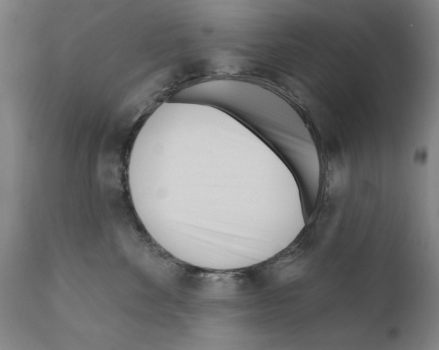 X0000111170524200908121050