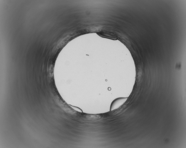 X0000111170525200908121050