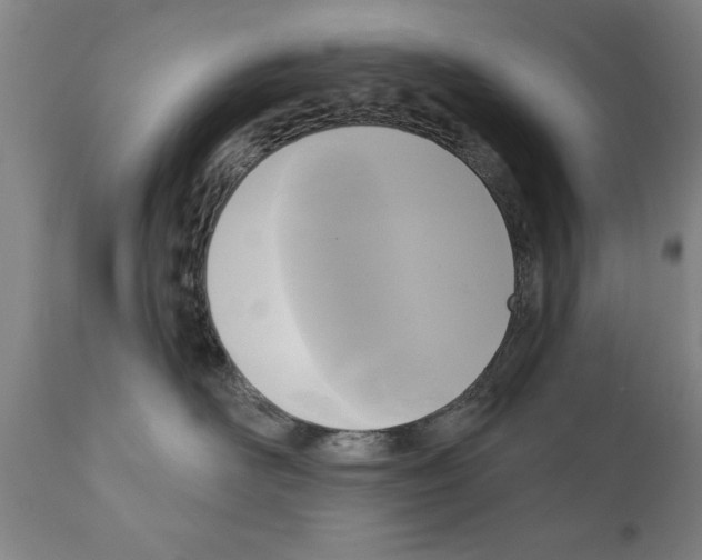 X0000111170526200908121050