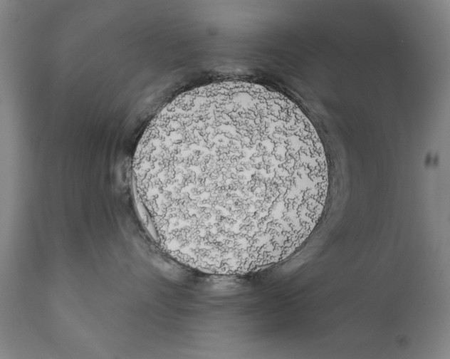 X0000111170528200908121050