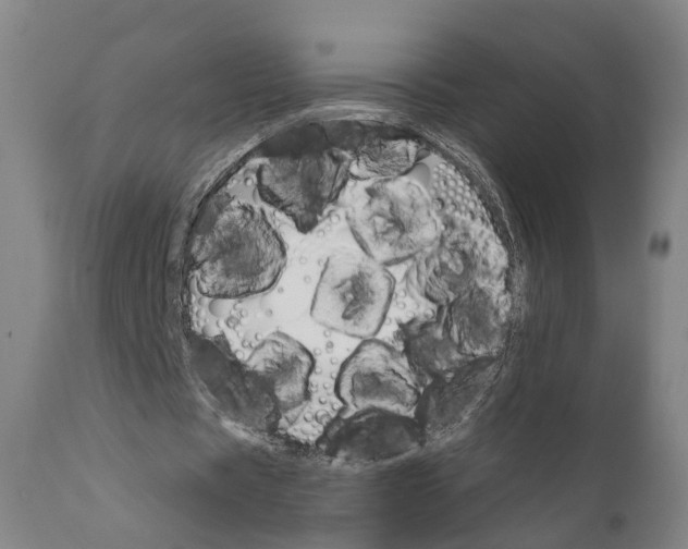 X0000111170529200908121049