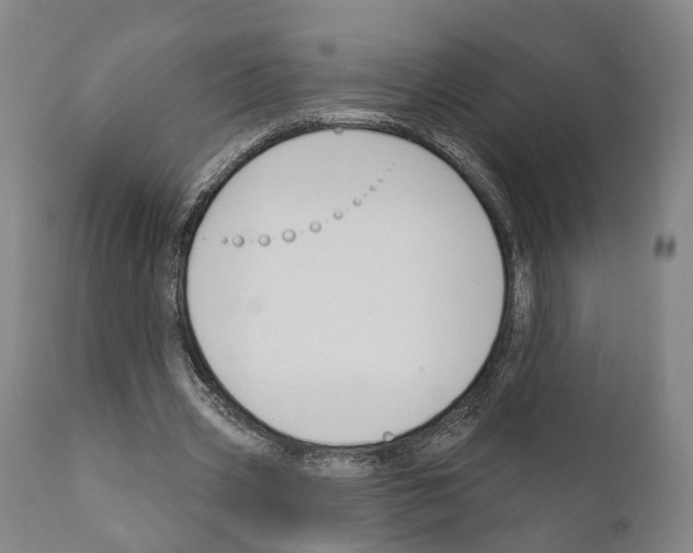 X0000111170533200908121049