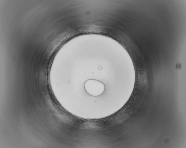 X0000111170534200908121049