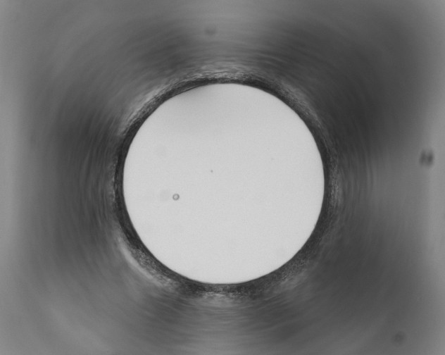 X0000111170538200908121049