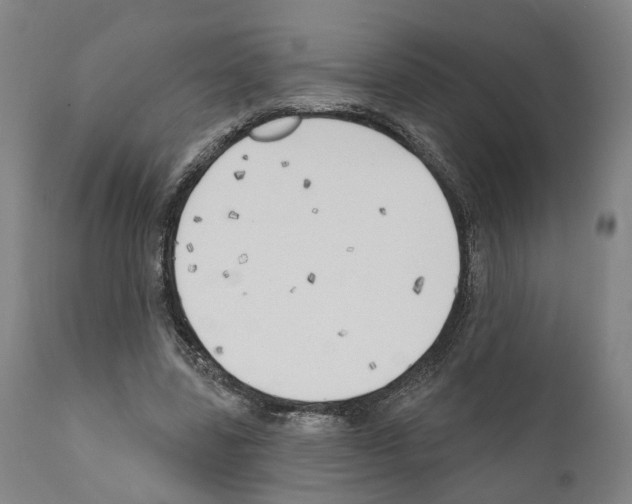 X0000111170539200908121049