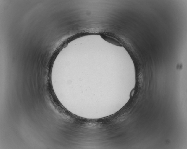 X0000111170540200908121049