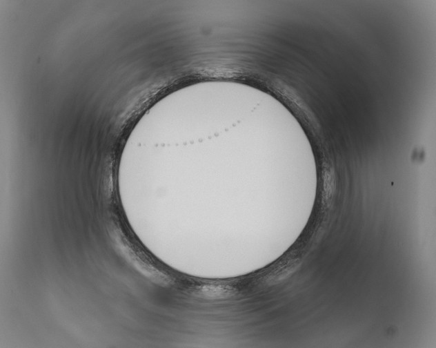 X0000111170541200908121049