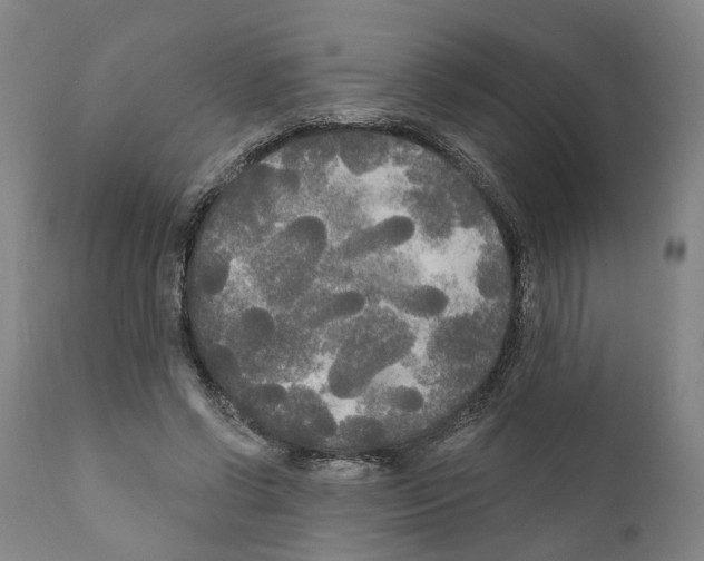 X0000111170542200908121049