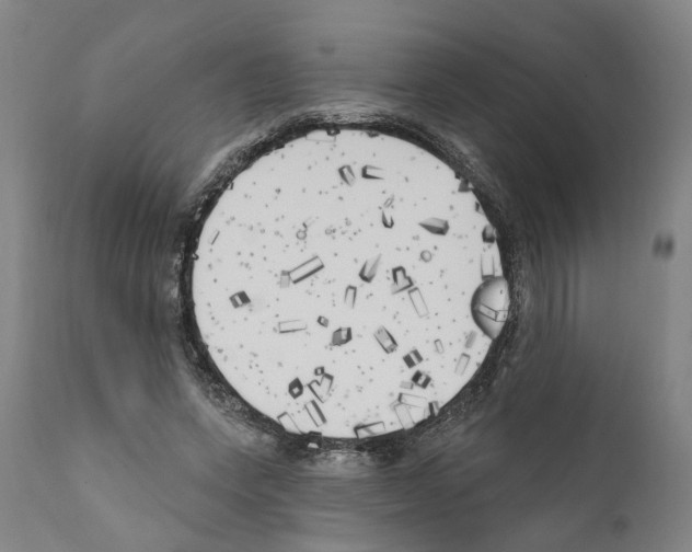 X0000111170543200908121049