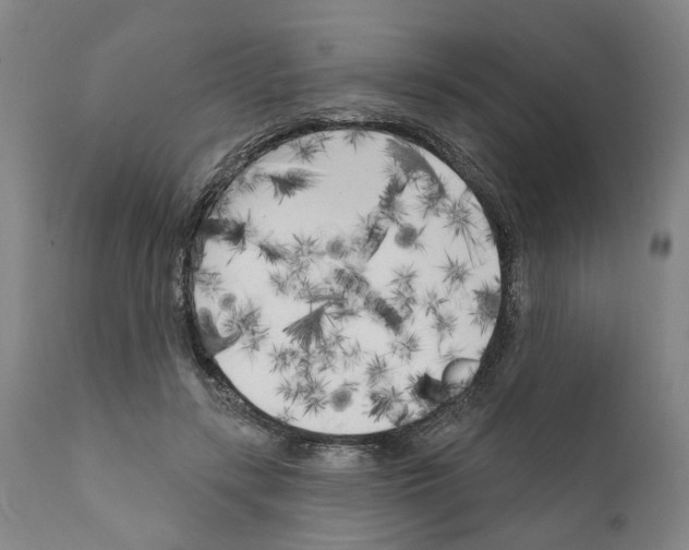 X0000111170547200908121049