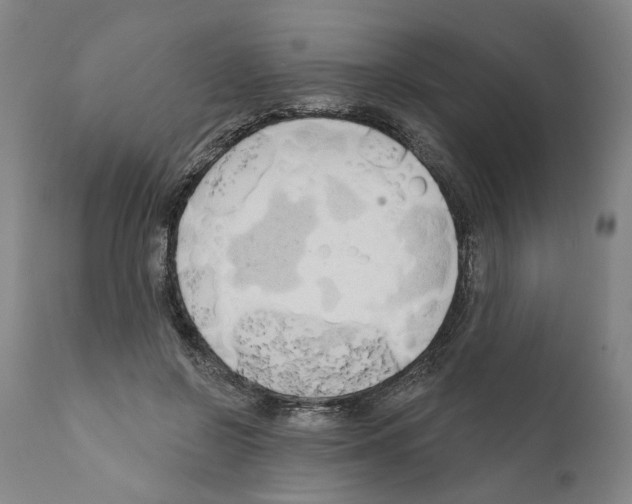 X0000111170550200908121049