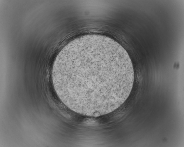 X0000111170551200908121049