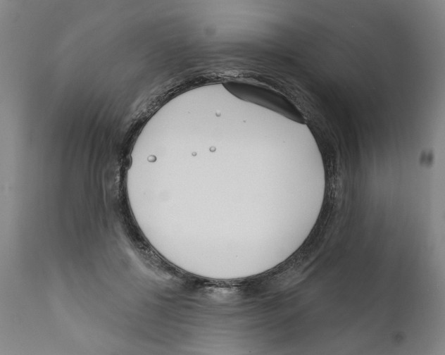 X0000111170552200908121049