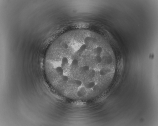 X0000111170553200908121049