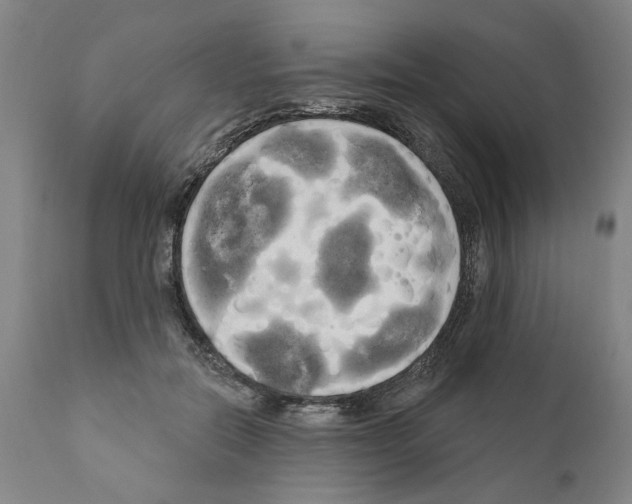 X0000111170554200908121049