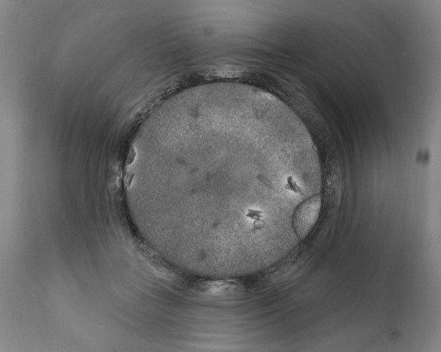 X0000111170555200908121049