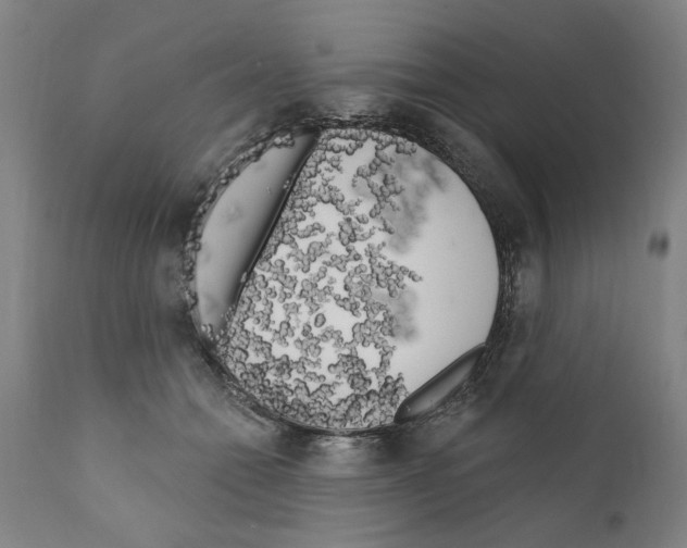 X0000111170558200908121049