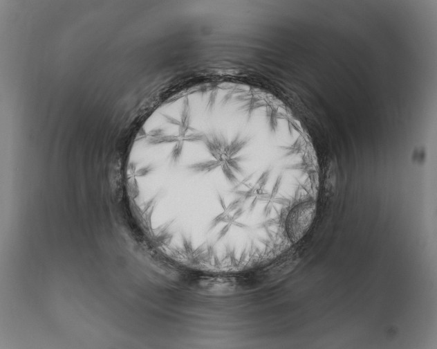 X0000111170559200908121049