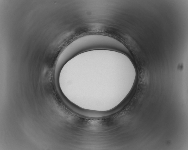 X0000111170560200908121049