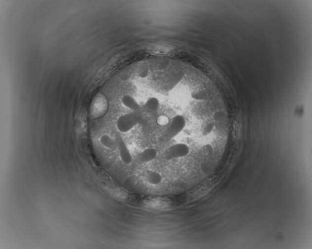 X0000111170561200908121049