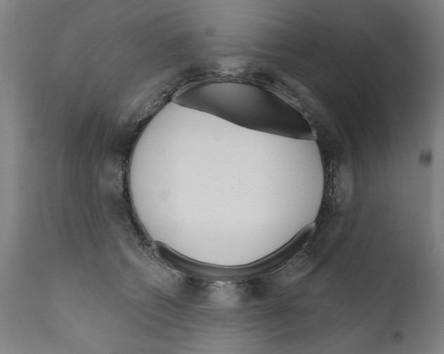 X0000111170562200908121049