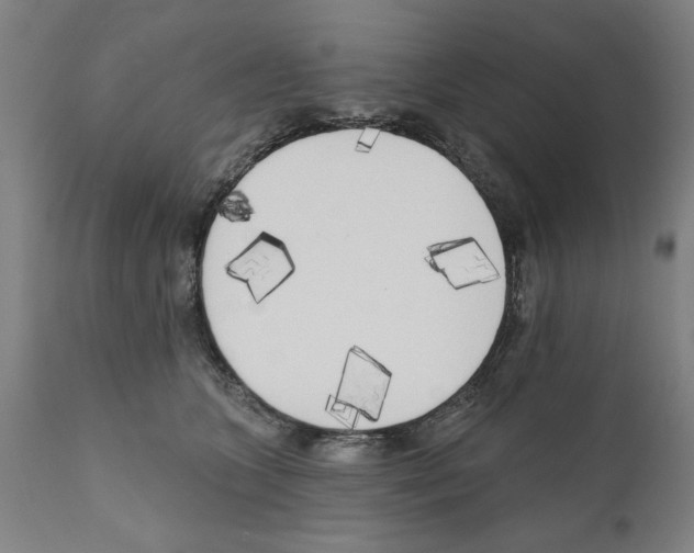 X0000111170563200908121049