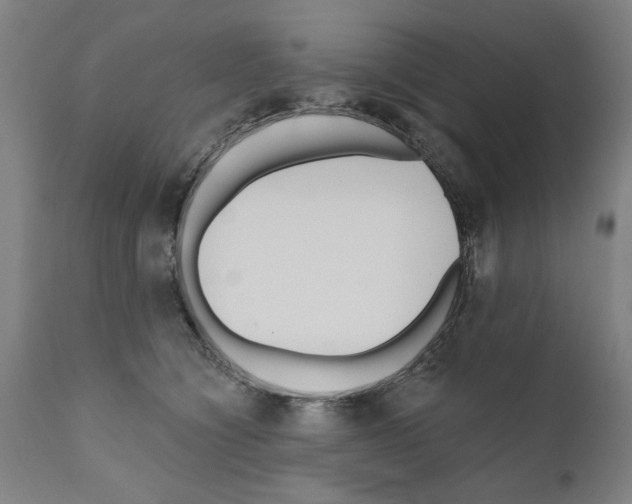 X0000111170564200908121049