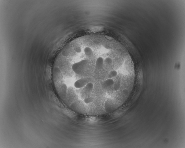 X0000111170565200908121049