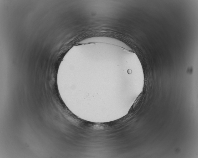 X0000111170566200908121049