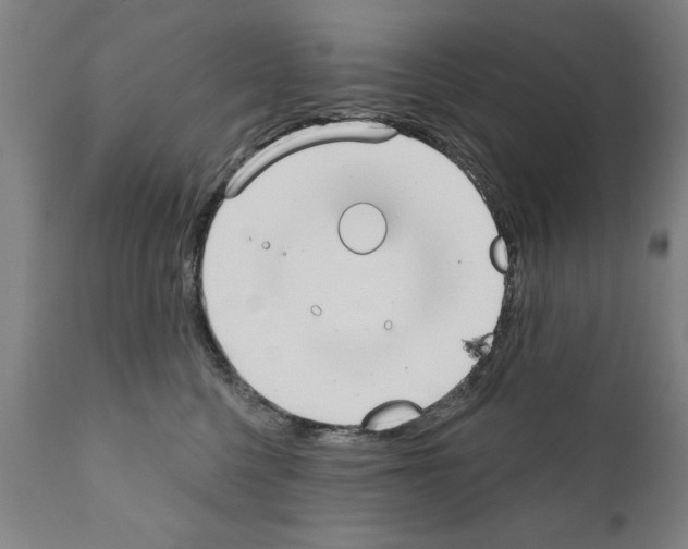 X0000111170568200908121049