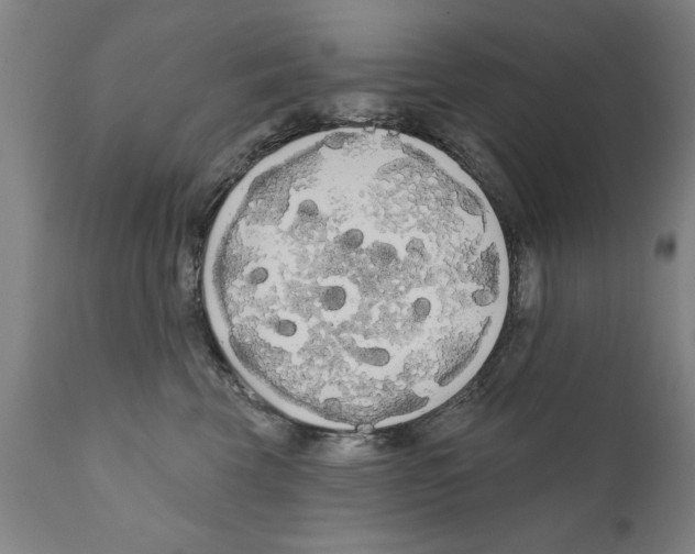 X0000111170569200908121049