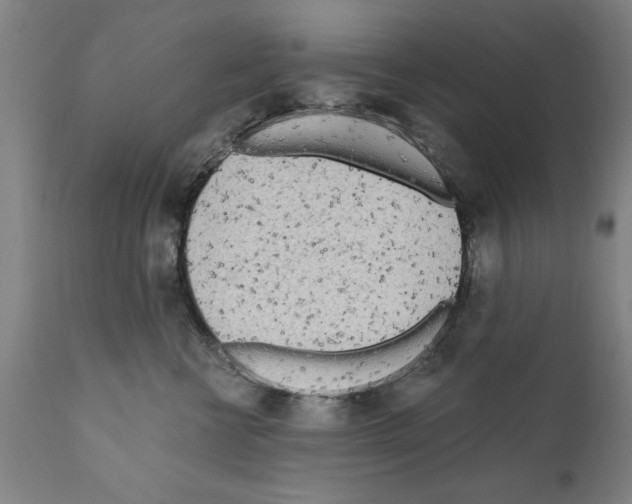 X0000111170570200908121049